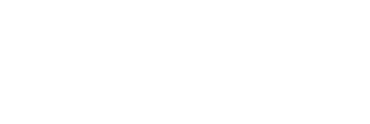 Freedom Flow Logo